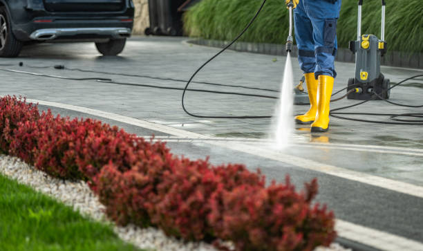 Animal Enclosure Cleaning in Jordan, NY